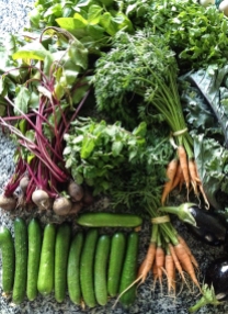 Vegetables from the Farmers Market Dubai
