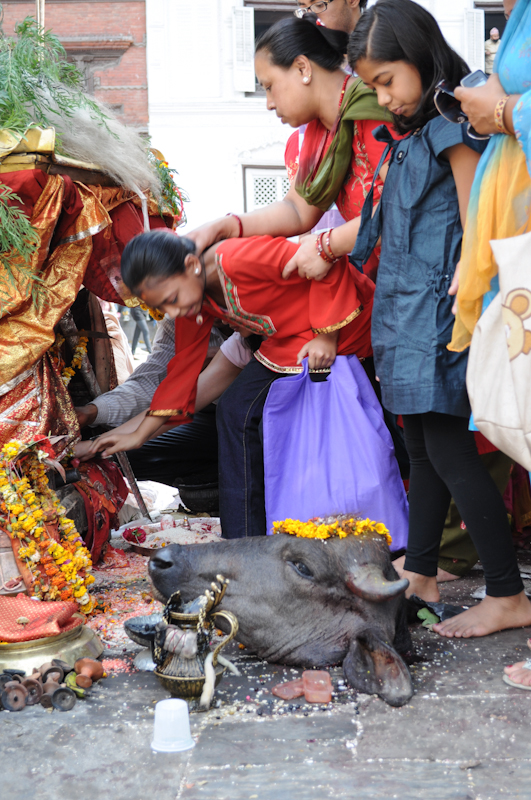 A Hindu festival in Kathmandu - mycustardpie.com