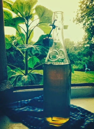 Elderflower Mint Cordial submitted by Ema from De Tout Coeur Limousin.
